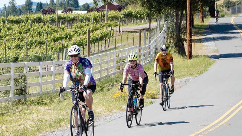 Wine Country Century 2025